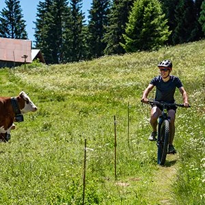 VTT électrique à Combloux